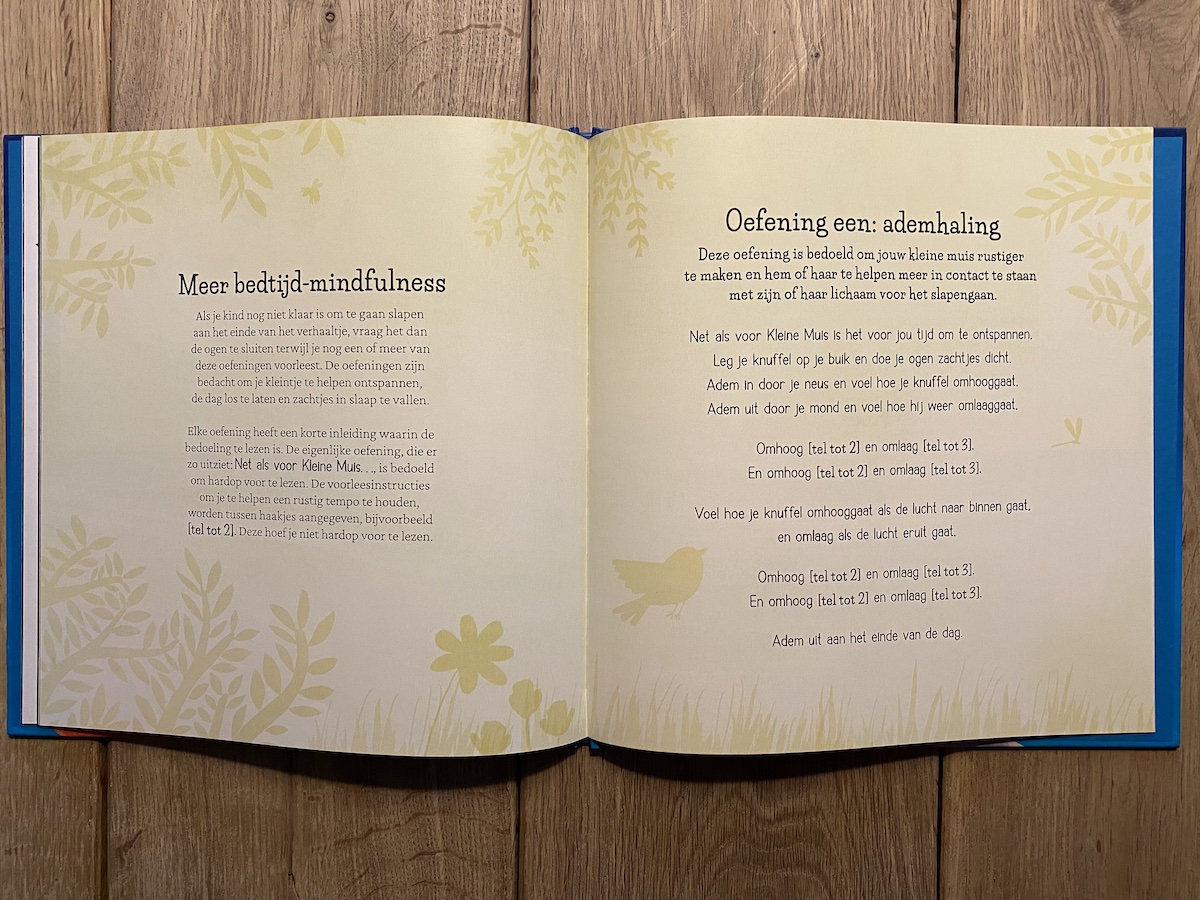 'Slaap lekker, Kleine Muis' - een mindfulness voorleesboek