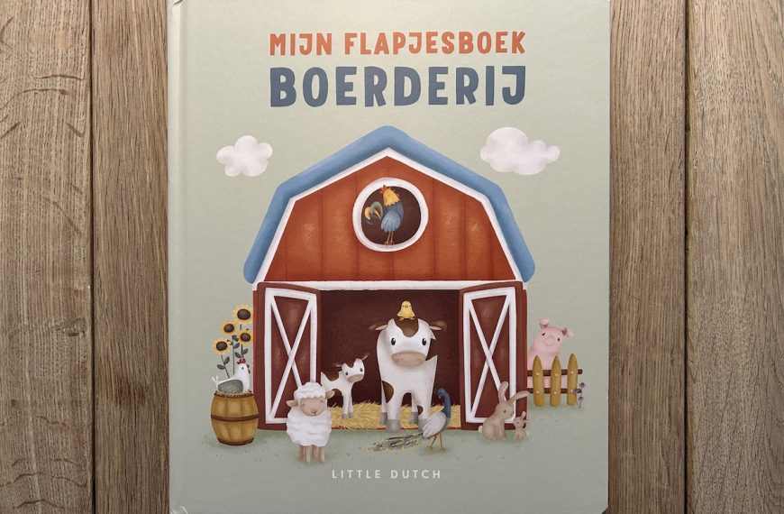 Flapjesboek van Little Dutch